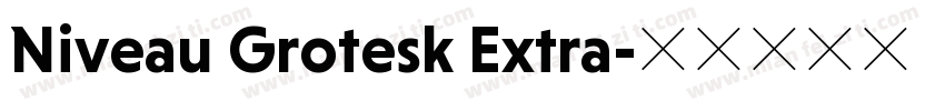 Niveau Grotesk Extra字体转换